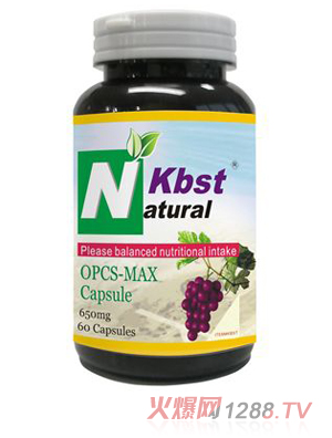 ����ʩ������ԭ�໨���z��