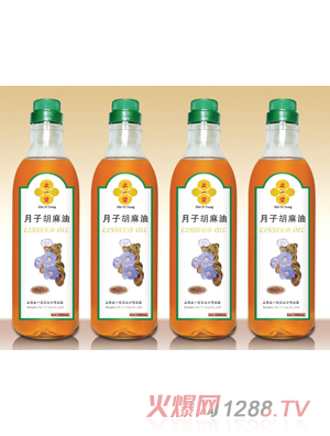 ֹһ�����Ӻ�����