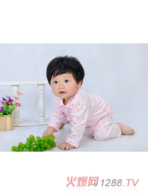 ��ȼ����B(ni��o)����Ԋ(sh��)��(n��i)��