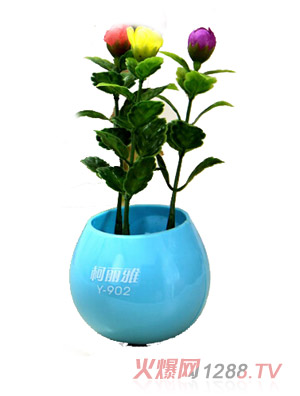 ��������޹����_�P(gu��n)Сҹ��