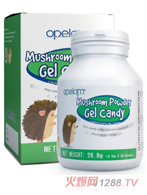 �W����Ģ�������z�ǹ�