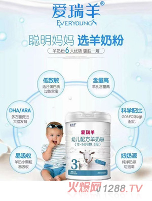 愛瑞羊youe配方羊奶粉（12-36月齡，3段）
