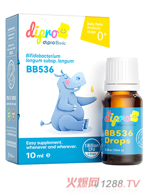 Dipro���o��Basic BB536������