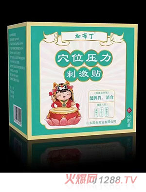 �Ӳ���Ѩλ�����̼��N ��Ƣθ����ʳ