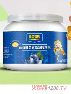 �S���n�{ݮ�~�S�������z�ǹ�